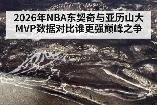 2026年NBA东契奇与亚历山大MVP数据对比谁更强巅峰之争